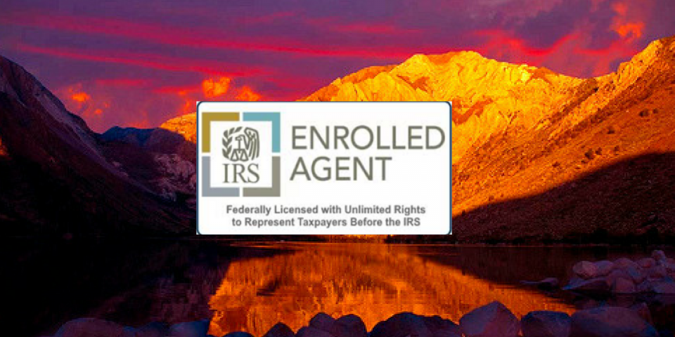 Enrolled Agent Tax Consultant enrolled agent