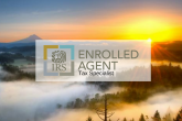 Why choose an Enrolled Agent over a CPA? Tax Specialist