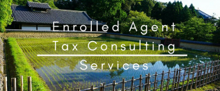 tax consulting services