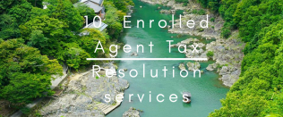 tax resolution services